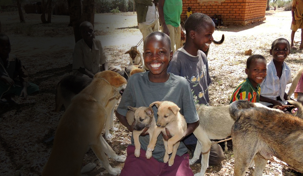 Fighting Rabies, One Hero at a Time