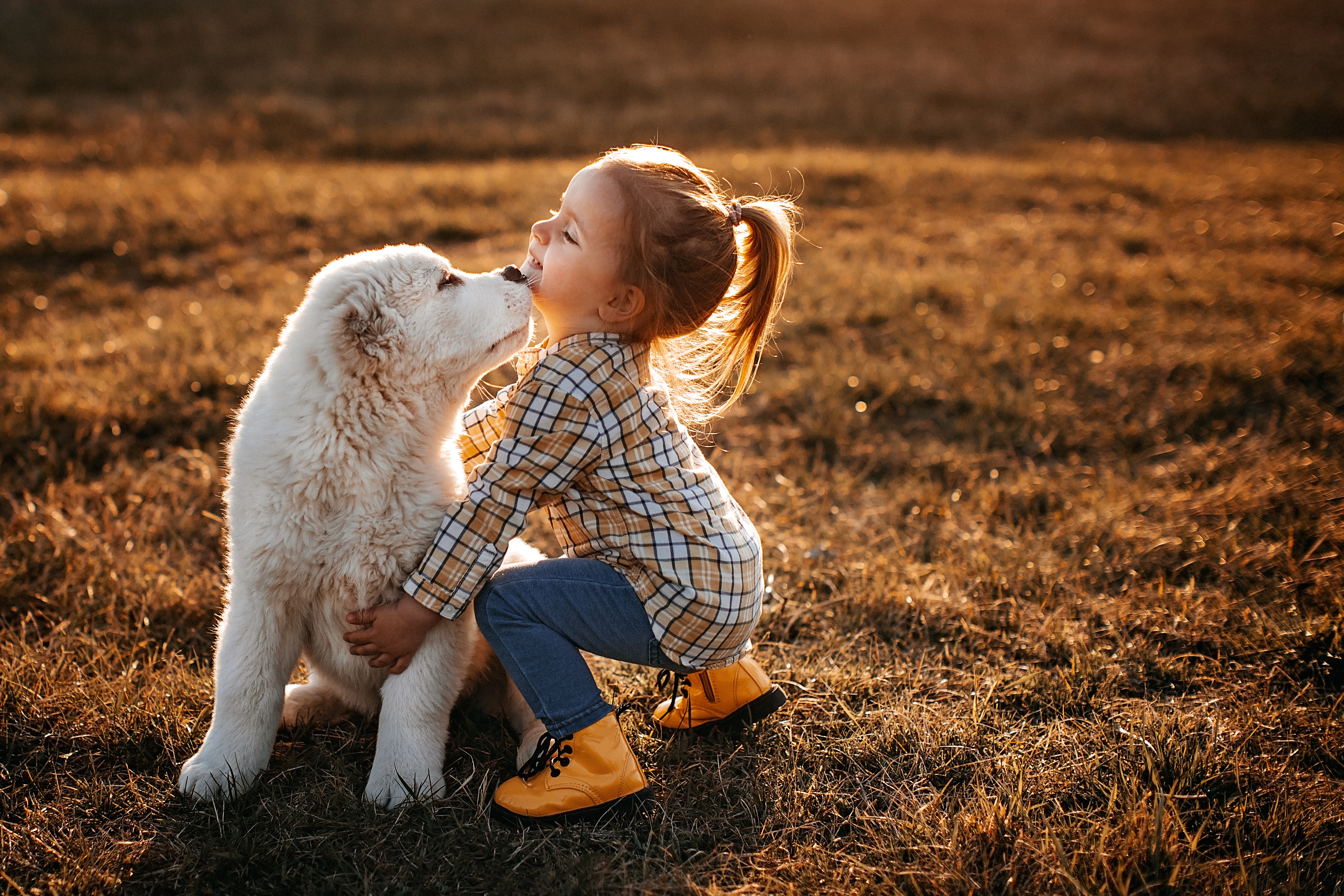 Humans, animals and the environment – our health is all connected -  Corporate Home Page – MSD Animal Health