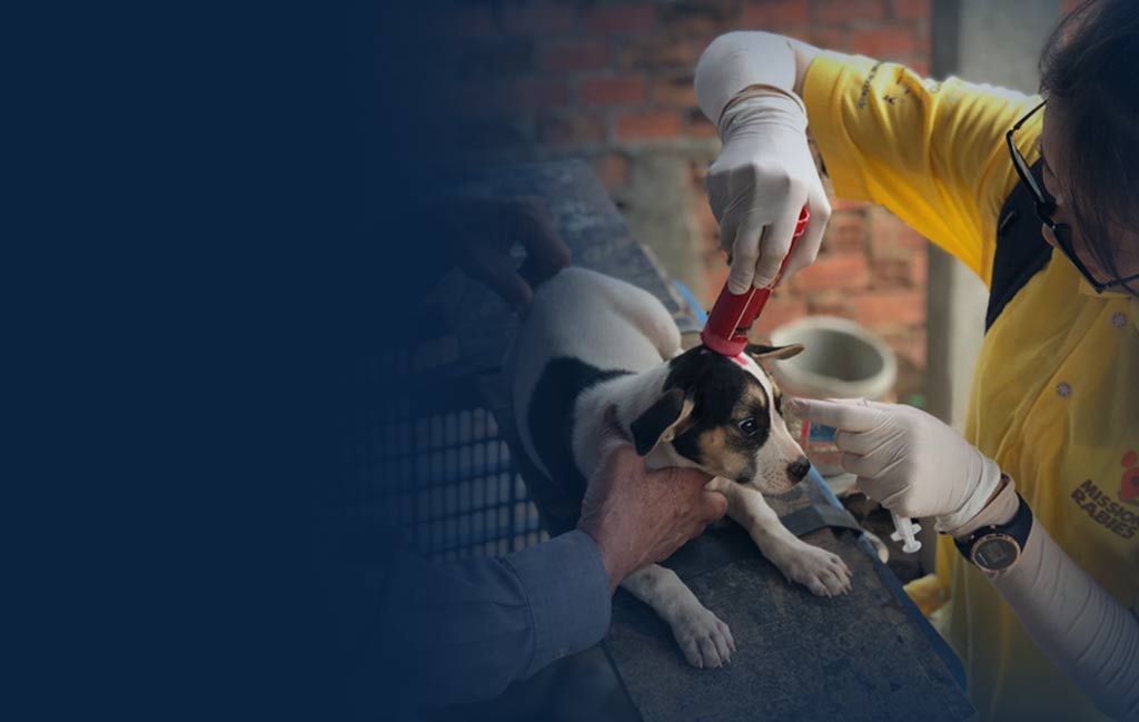 Corporate Home Page - Corporate Home Page – MSD Animal Health Corporate Home Page - Corporate Home Page – MSD Animal Health